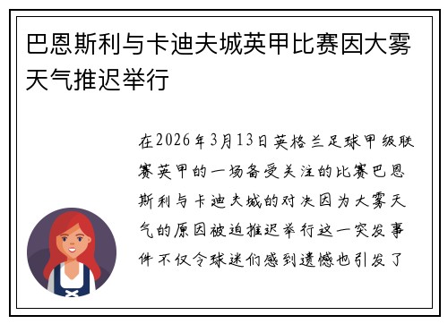 巴恩斯利与卡迪夫城英甲比赛因大雾天气推迟举行